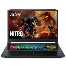 Acer Nitro 5 AN515-55-73FG